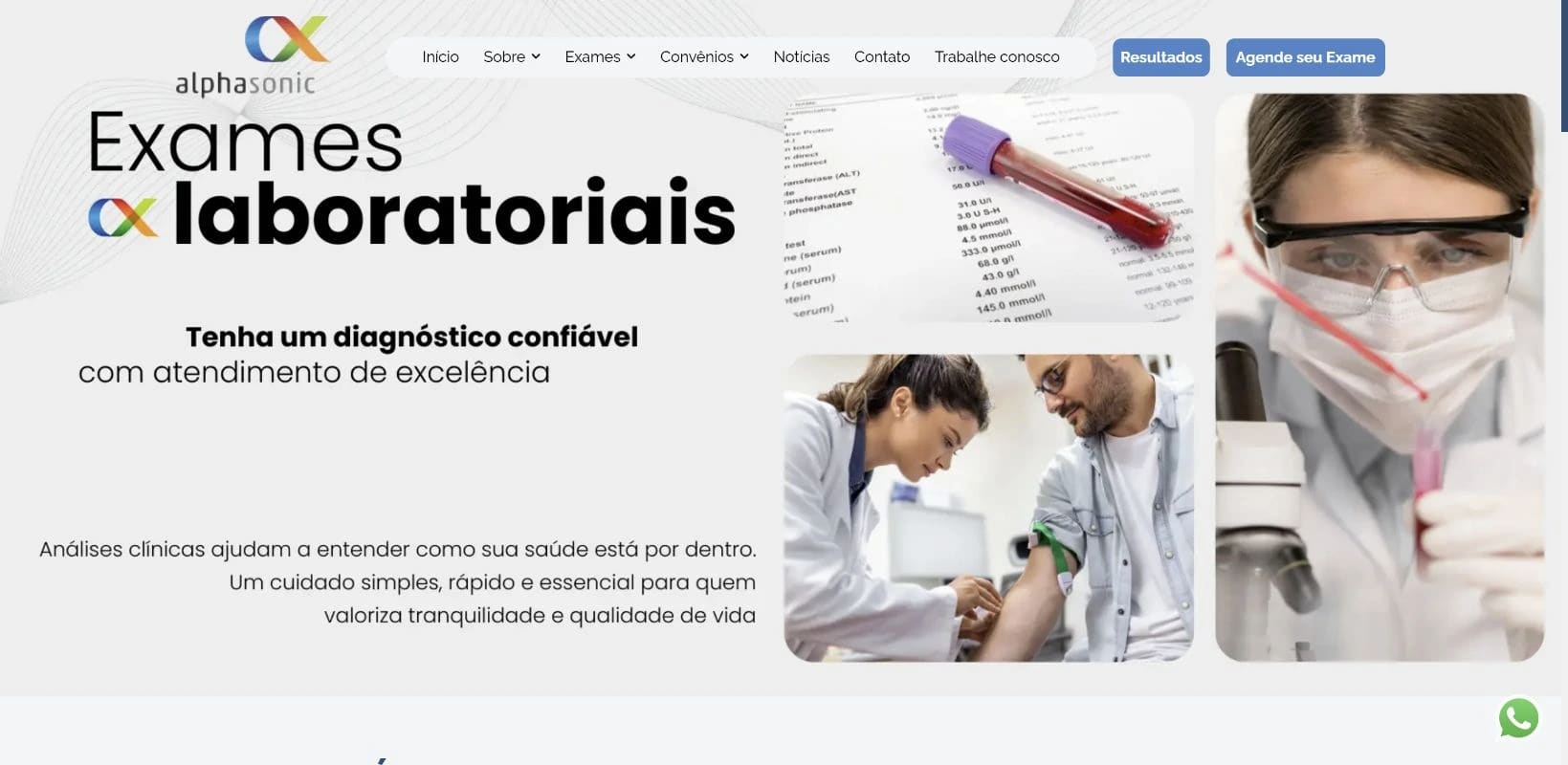 Captura real do site Alphasonic no desktop.